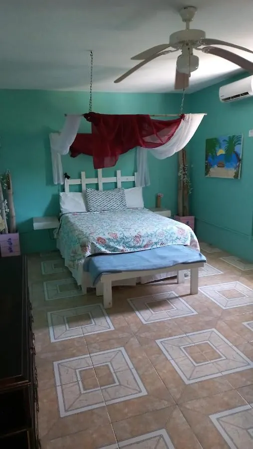 Castaways Villa Duncans Jamaïque